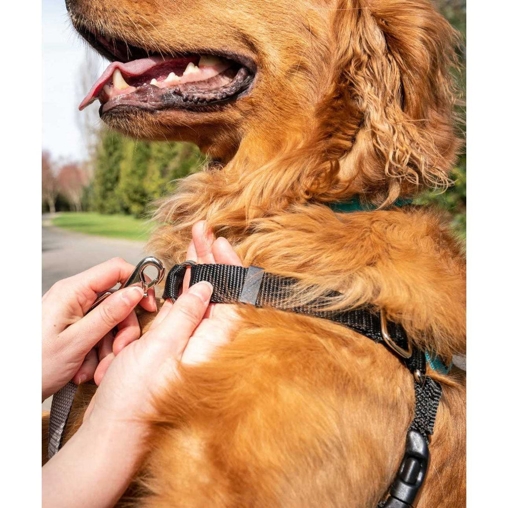 Body Halter Dog Harness X491