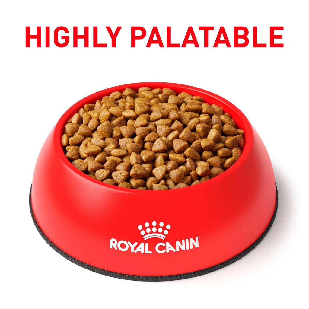 Feline Calm Dry Food L32632