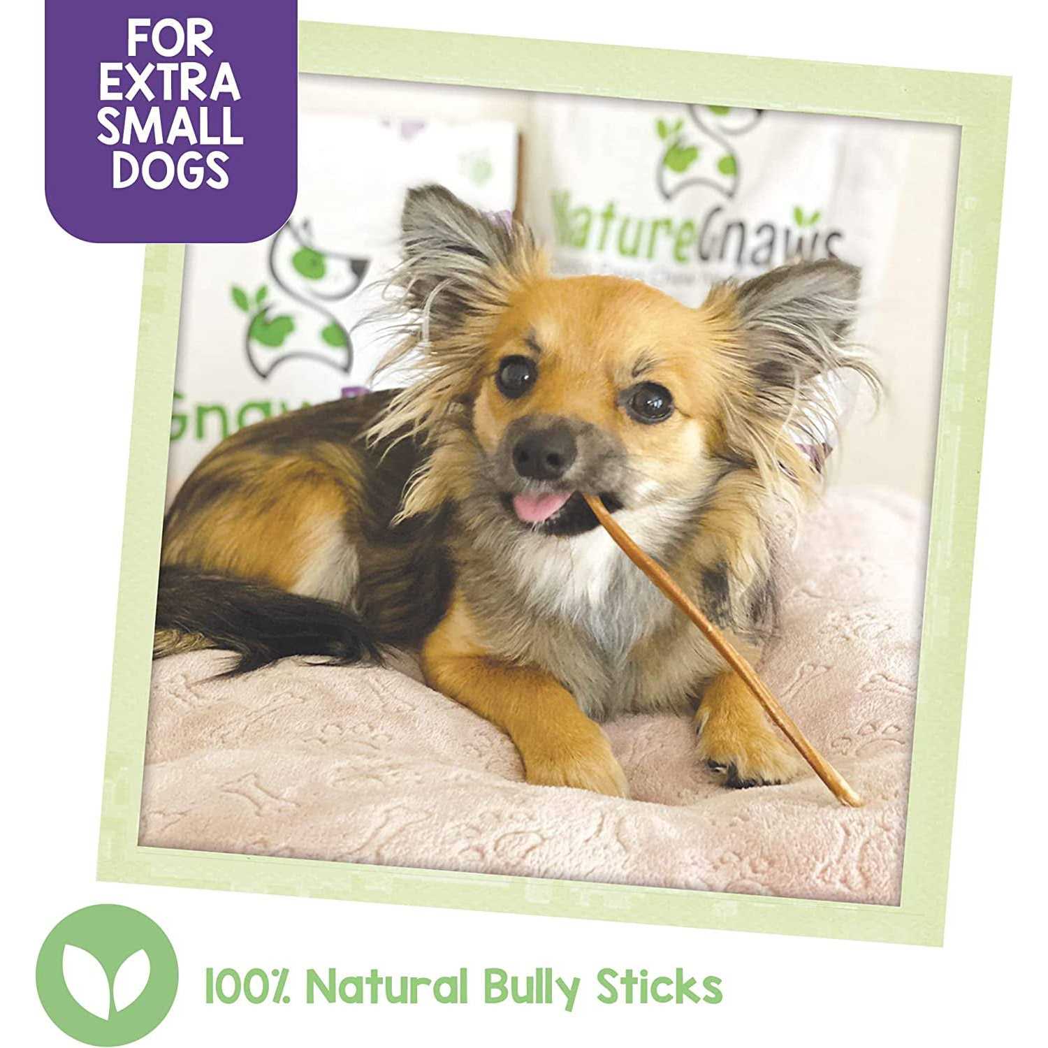 Bully Sticks for Dogs Natural Beef Bones I797563