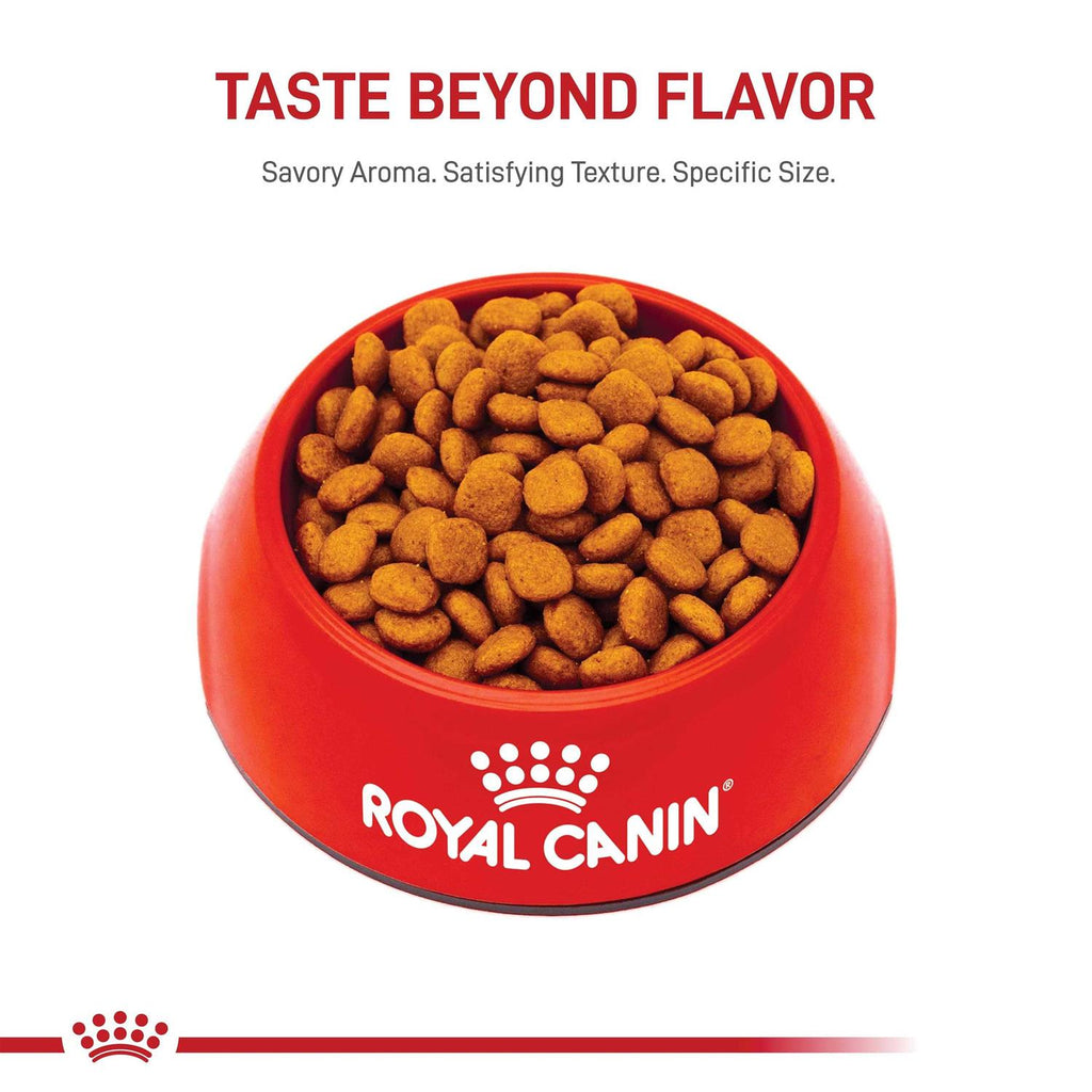 Adult Cavalier King Charles Dry Dog Food L133185