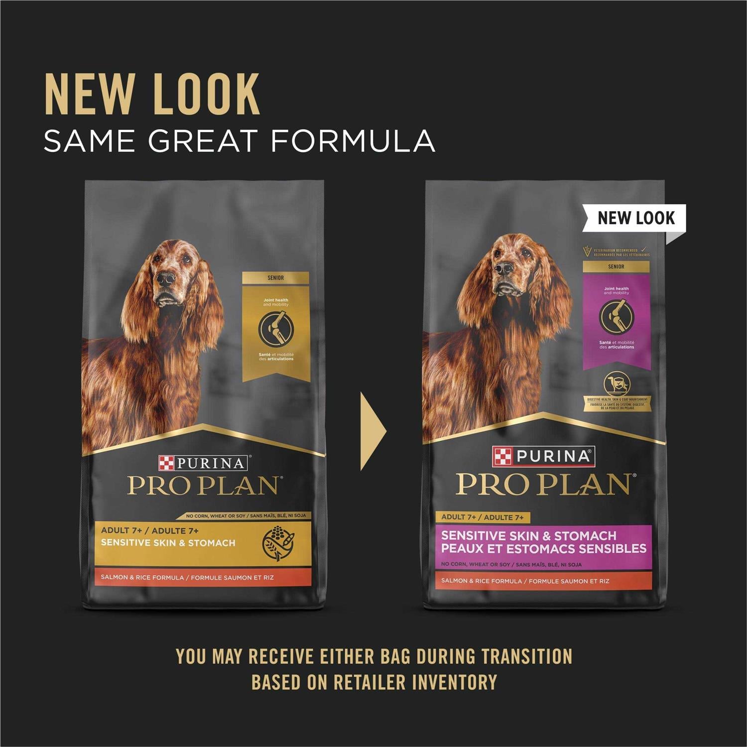 Sensitive Skin & Stomach Salmon & Rice Senior Dry Dog Food A989