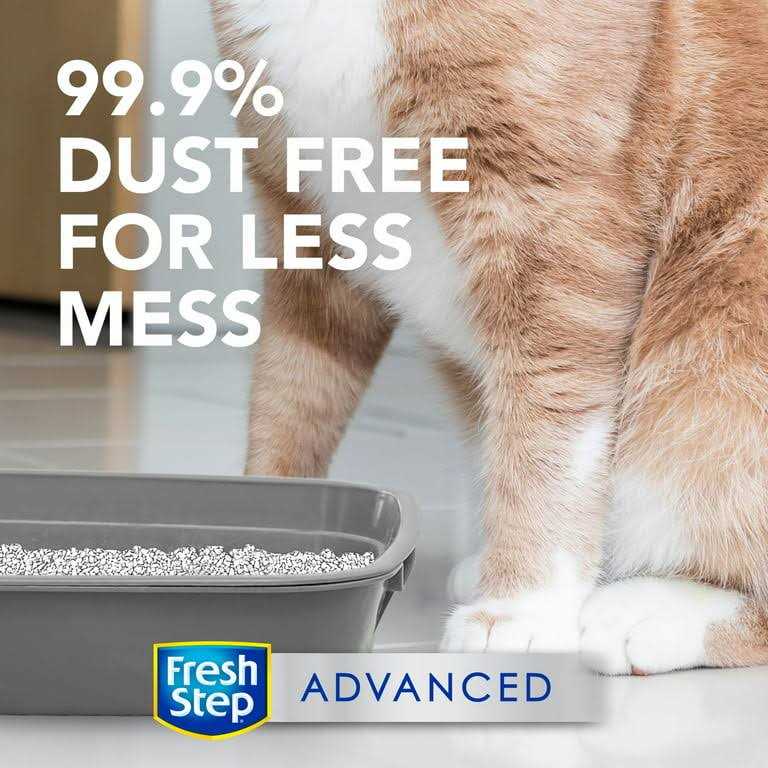 Unscented Clumping Cat Litter Y9818