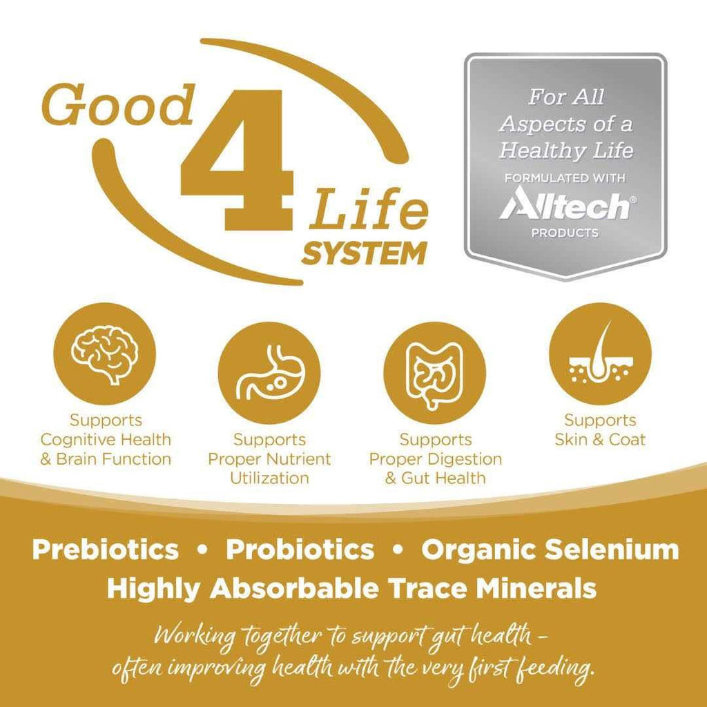 Grain Free Small Bites Dog Food I941307