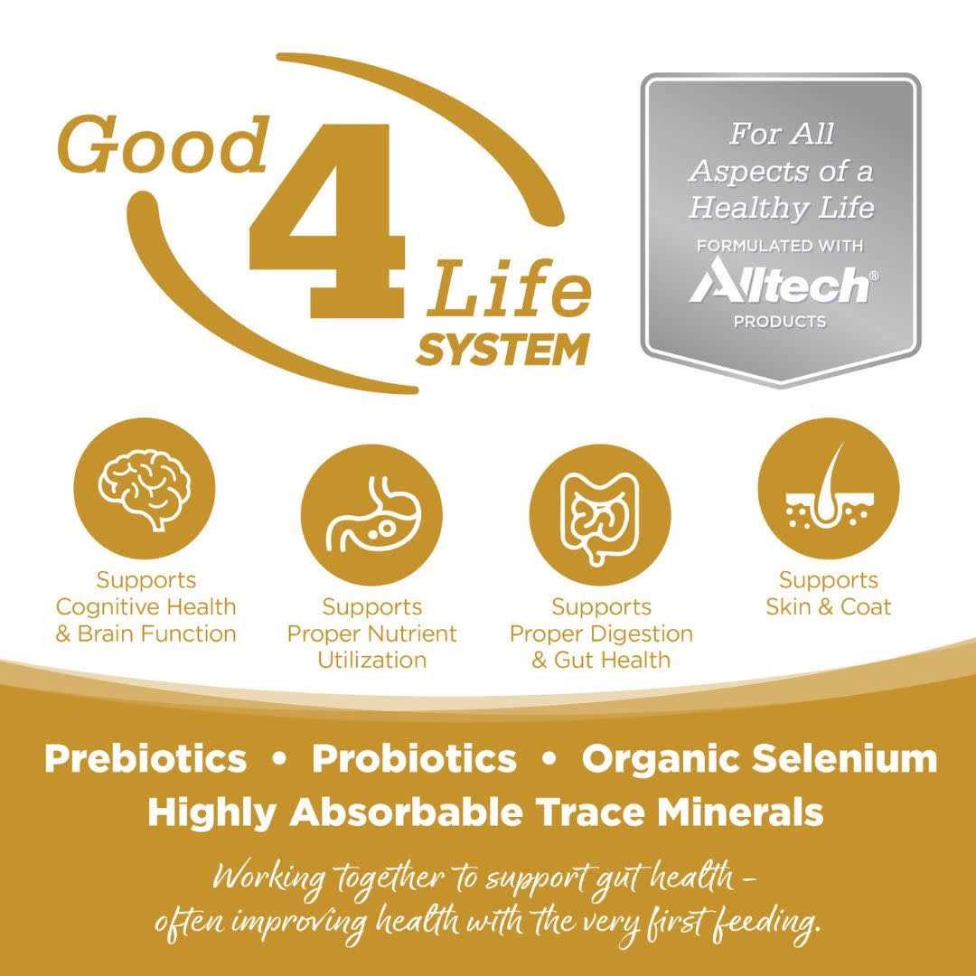 Grain Free Small Bites Dog Food I941307
