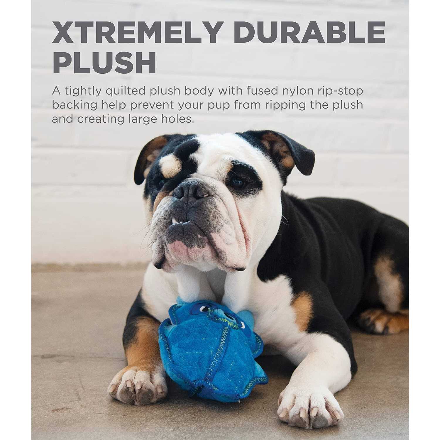 Calming Chew for Dogs I325