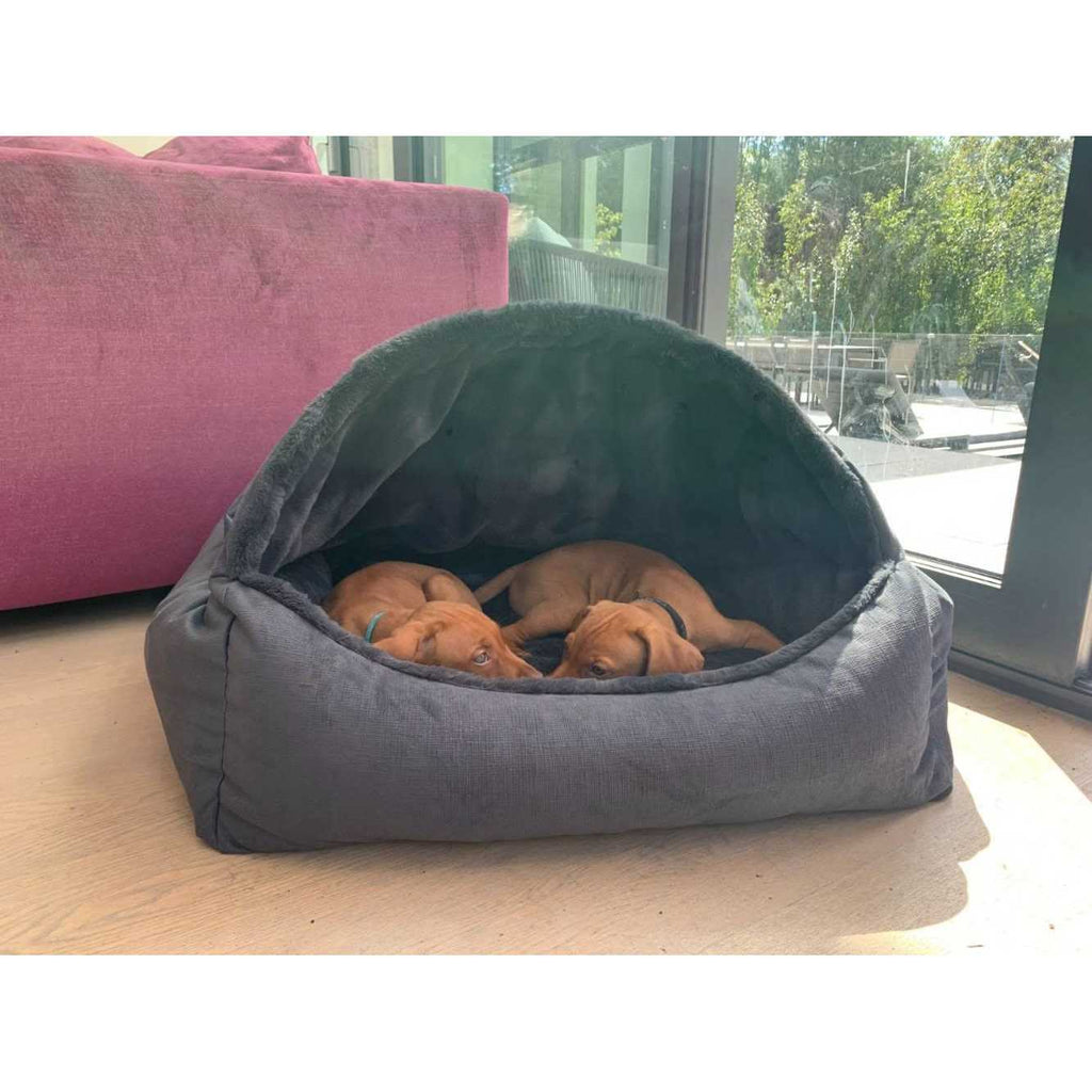 Canopy Dog Bed N854922