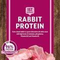 Earthborn Holistic Venture Grain Free Rabbit Meal Pumpkin Dry Dog Food - Pet Supplies online store
