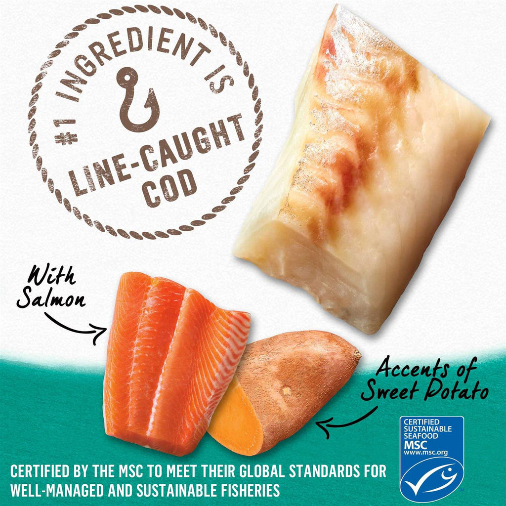 Alaskan Cod Salmon & Sweet Potato Wet Dog Food Can Y1550