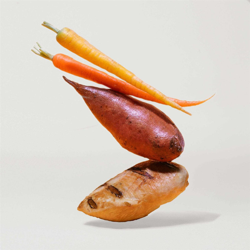 Chicken Sweet Potato & Carrot Dry Dog Food U849
