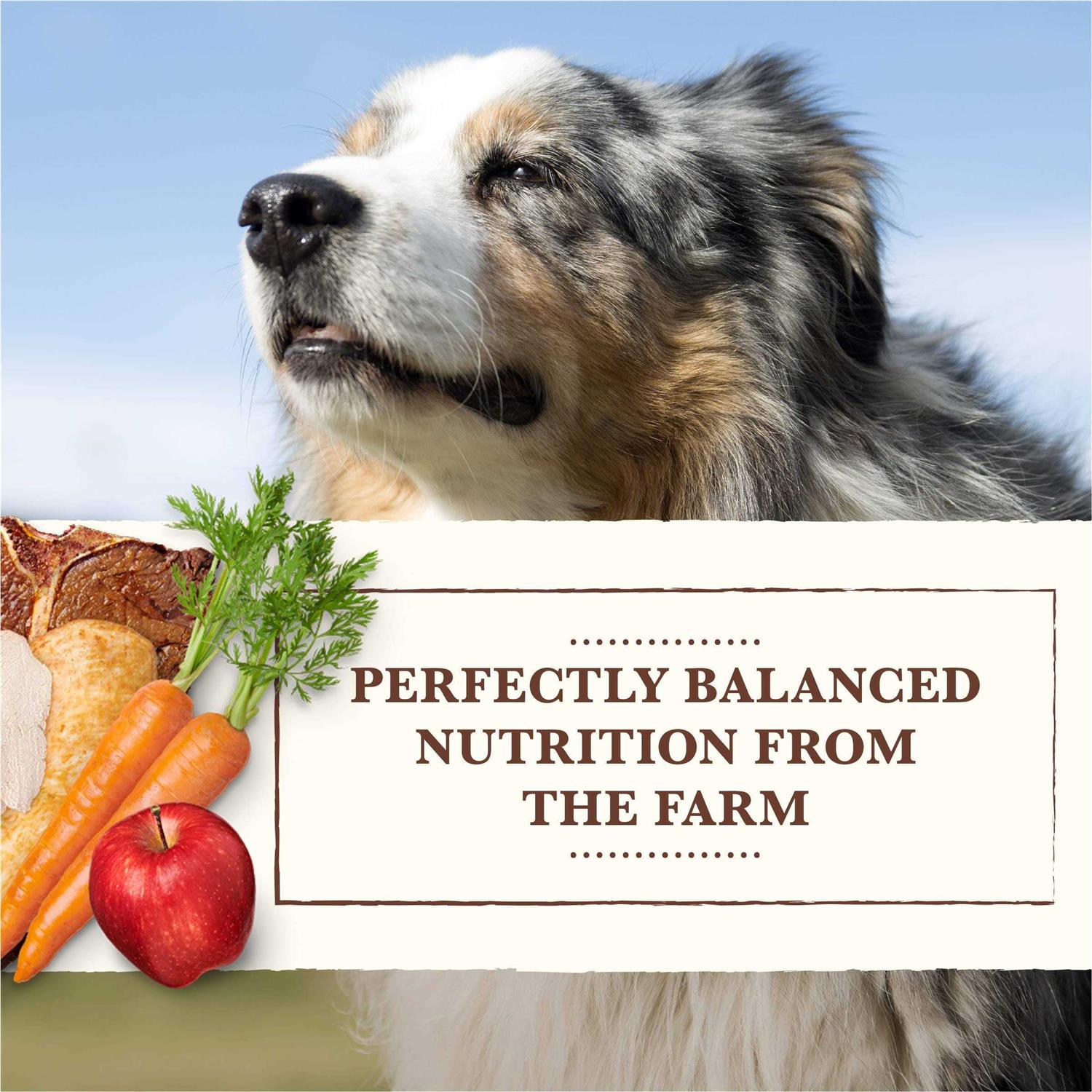 Grain Free Wet Dog Food Chicken Turkey K344132