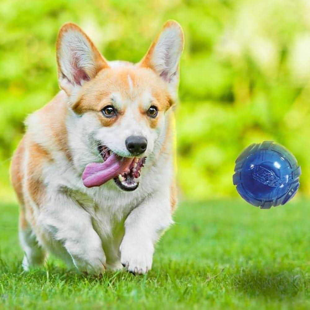 LED Ball Dog Toys I973