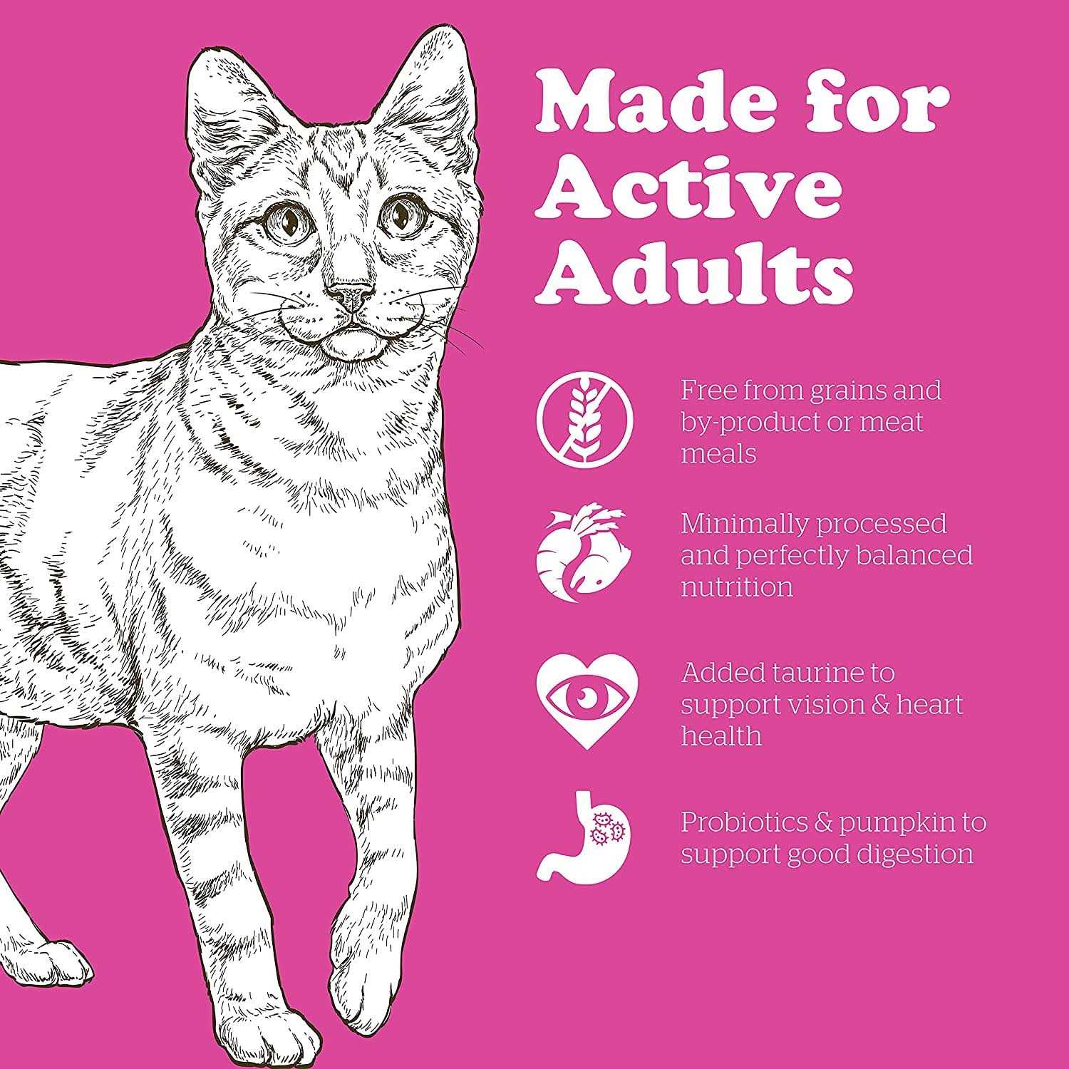 Grain-Free Adult Dry Cat Food H4813