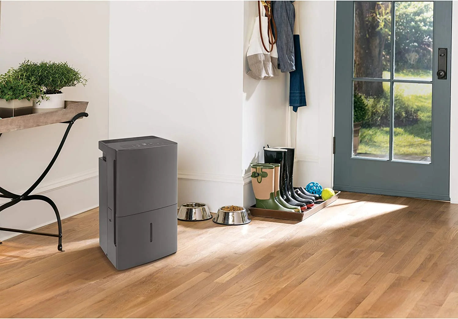 Dehumidifier with Built-in Pump N6139