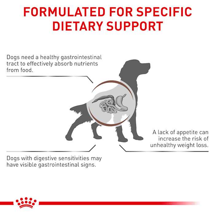 Gastrointestinal Dry Dog Food S506637