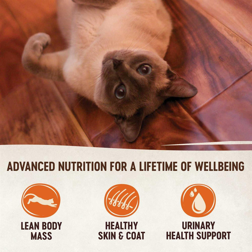 Natural Grain-Free Chicken Turkey & Liver Pate Canned Cat Food N6510