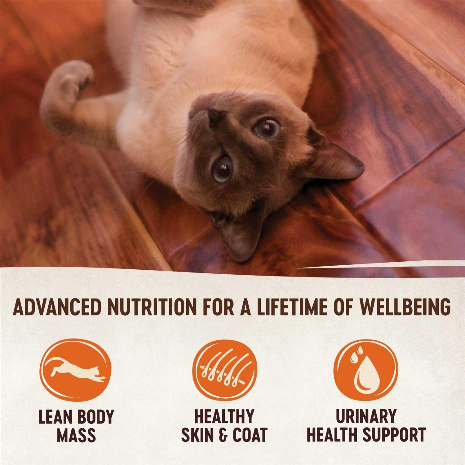 Natural Grain-Free Chicken Turkey & Liver Pate Canned Cat Food N6510