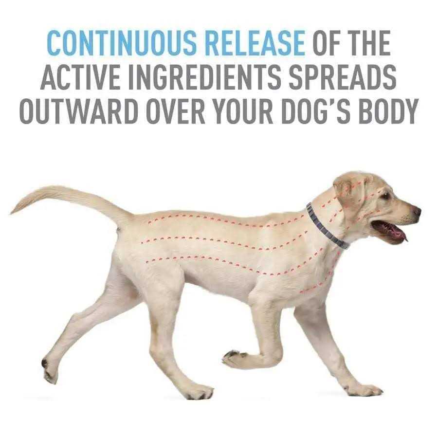 Flea Tick Collar for Dogs Puppies N82792