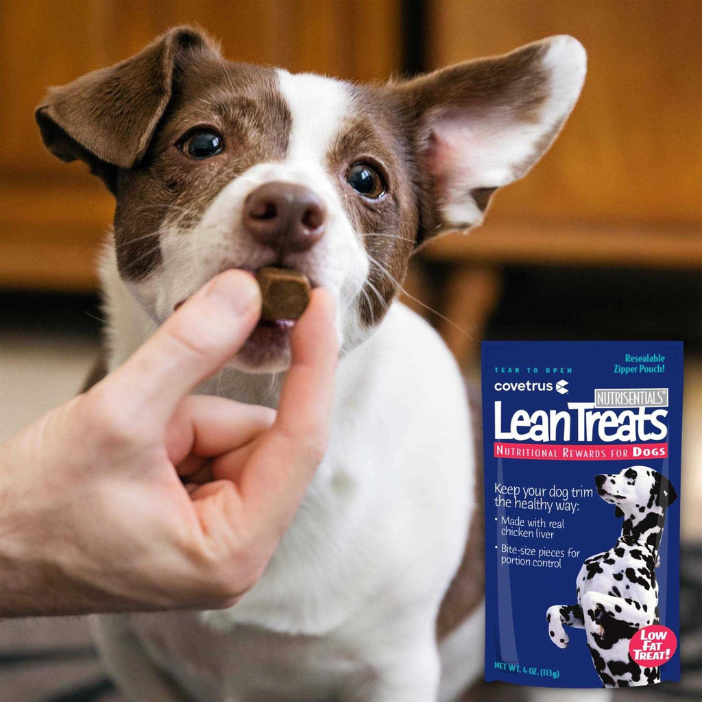 Lean Treats Dogs X977