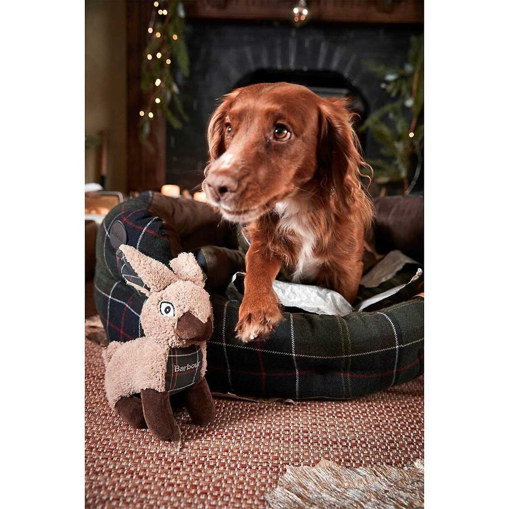 Waxed Cotton Dog Bed D92876