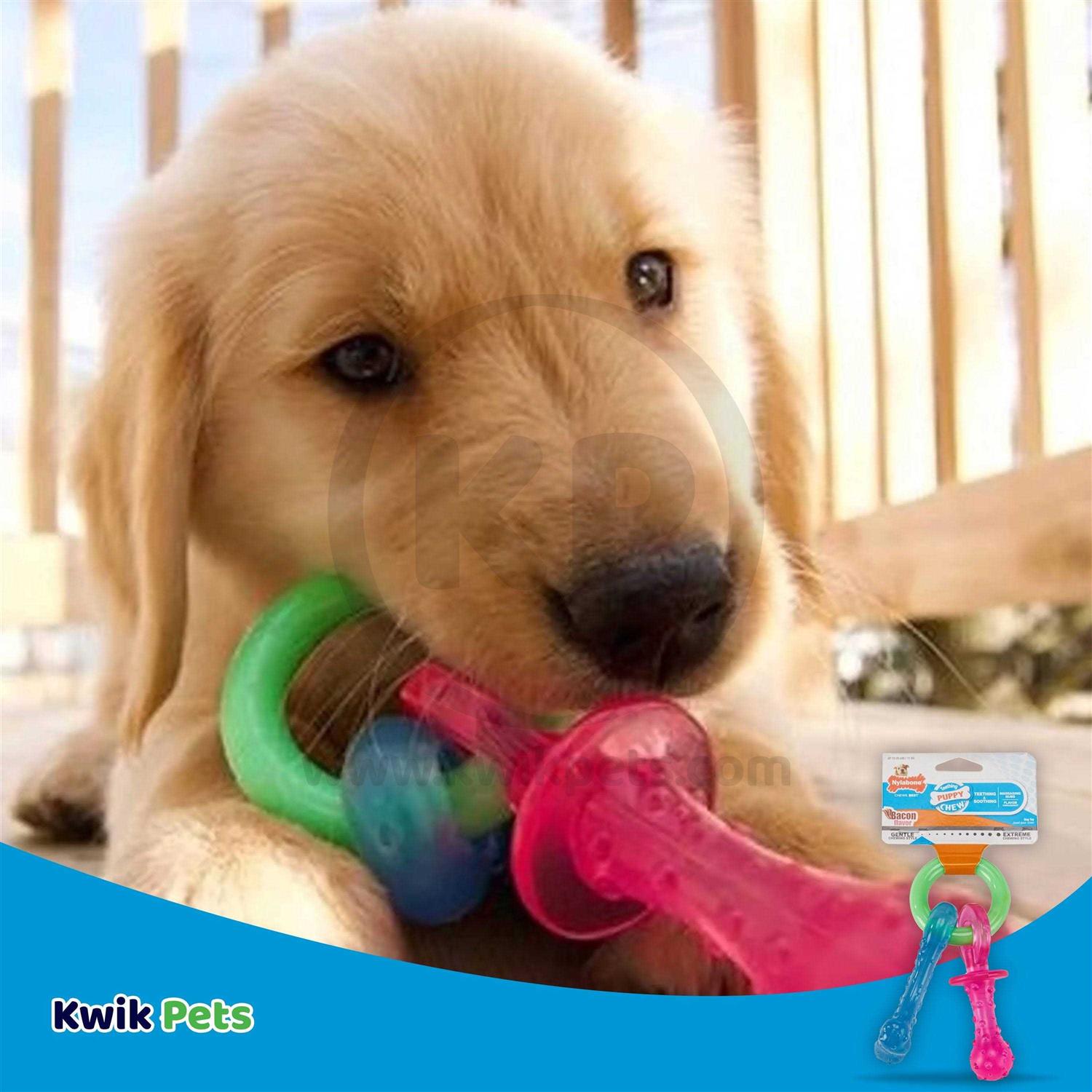Puppy Chew Teething Pacifier R617