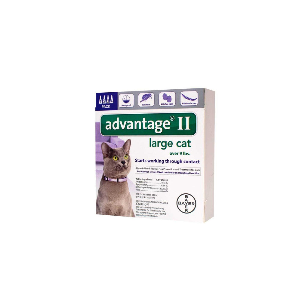 Flea Treatment for Cats G538945