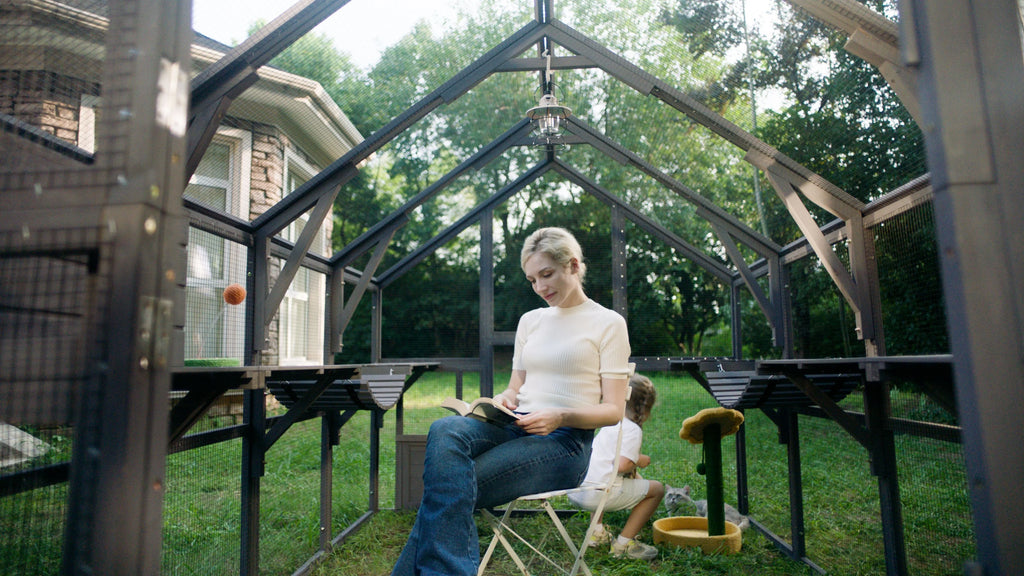 Outdoor Walk-in Catio Enclosure with Bridges and Platforms Y970