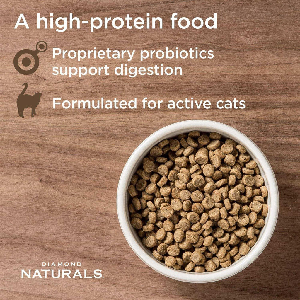 Active Chicken Meal & Rice Formula Dry Cat Food H92056