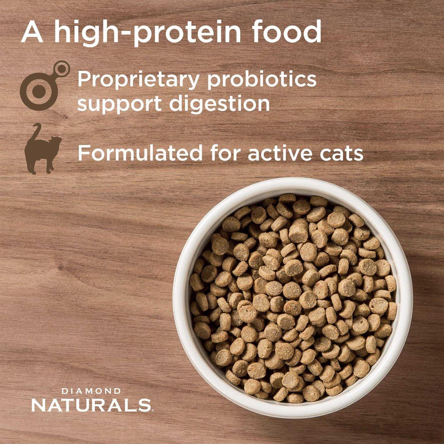Active Chicken Meal & Rice Formula Dry Cat Food H92056