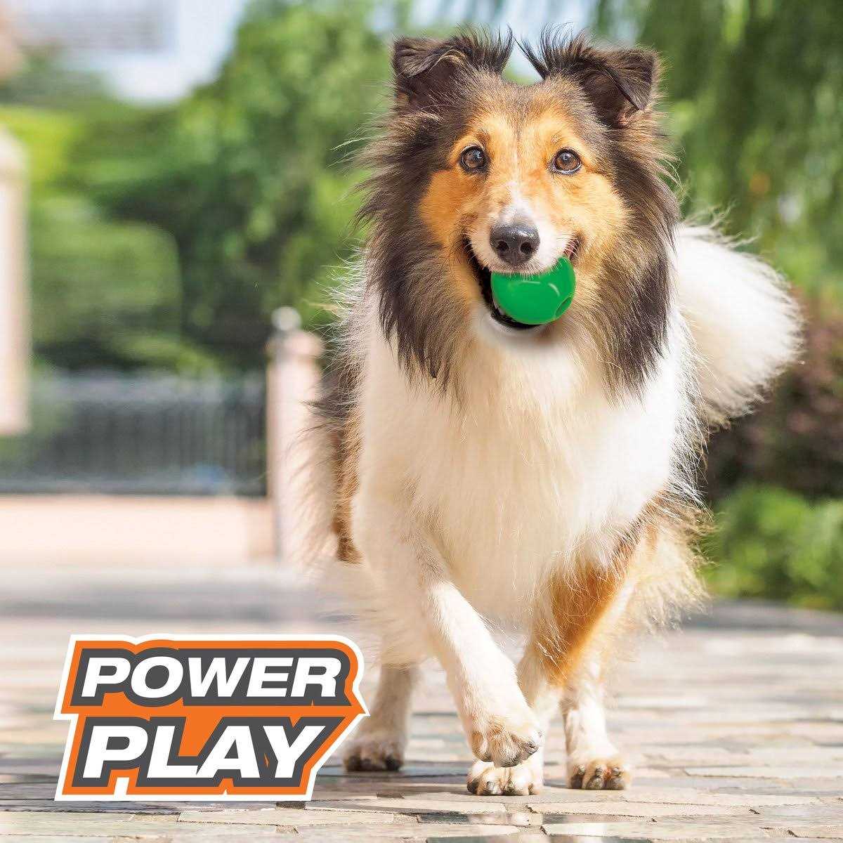 Dog Chew Ball Toy for Pets O40538