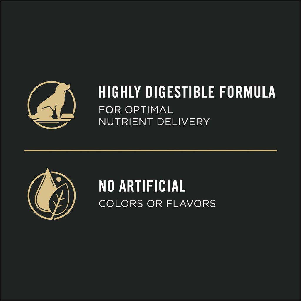 Sensitive Skin & Stomach Salmon & Rice Senior Dry Dog Food A989