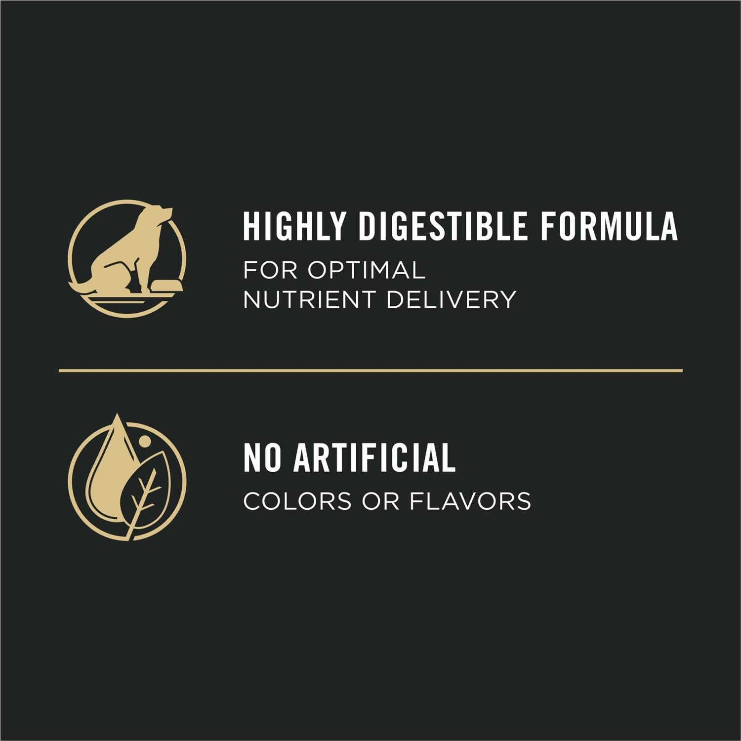 Sensitive Skin & Stomach Salmon & Rice Senior Dry Dog Food A989