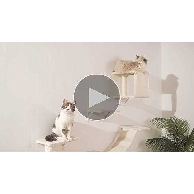 Wall-Mounted Cat Furniture Set with Shelves, Climber, and Scratcher X14754