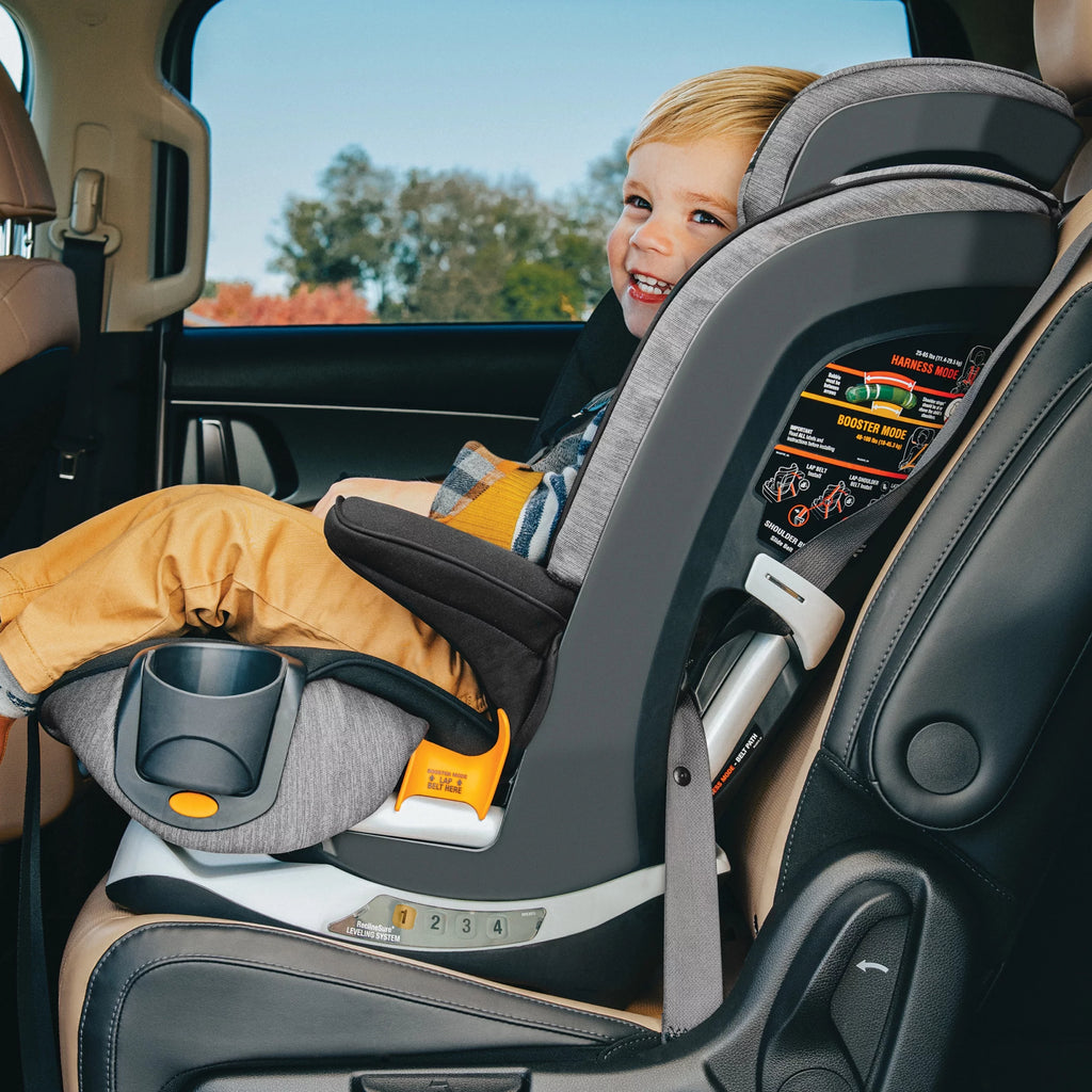 Harness + Booster Car Seat - Shadow (Black) I930260