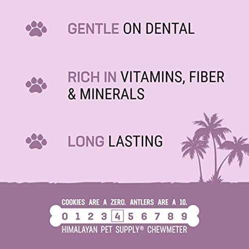 Coconut Bone Dog Chew W147906
