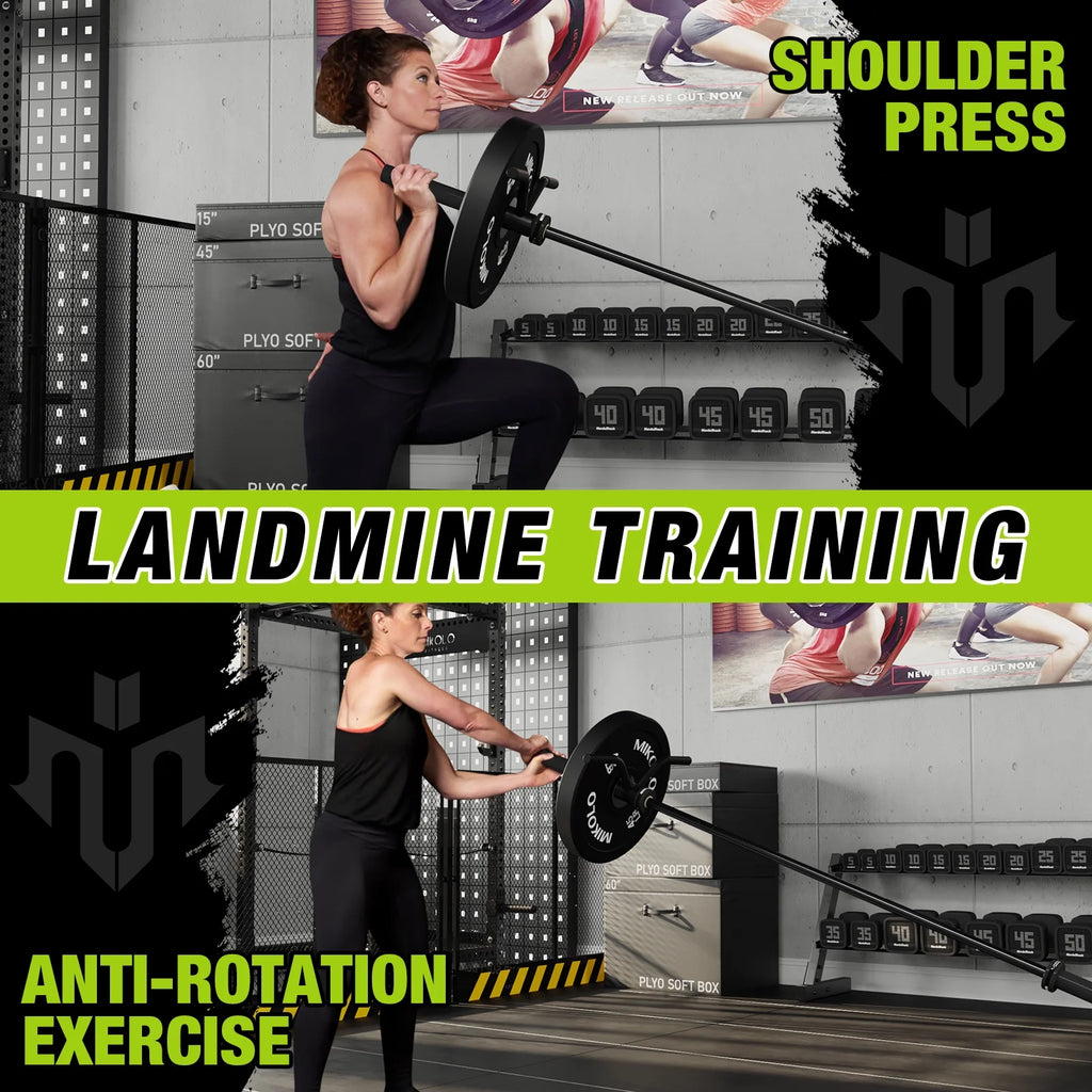 Power Rack Cage with LAT Pulldown System, 1200LBS Capacity, Squat Rack V6973