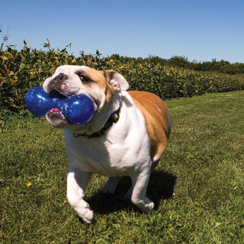 Dumbbell Dog Toy D279