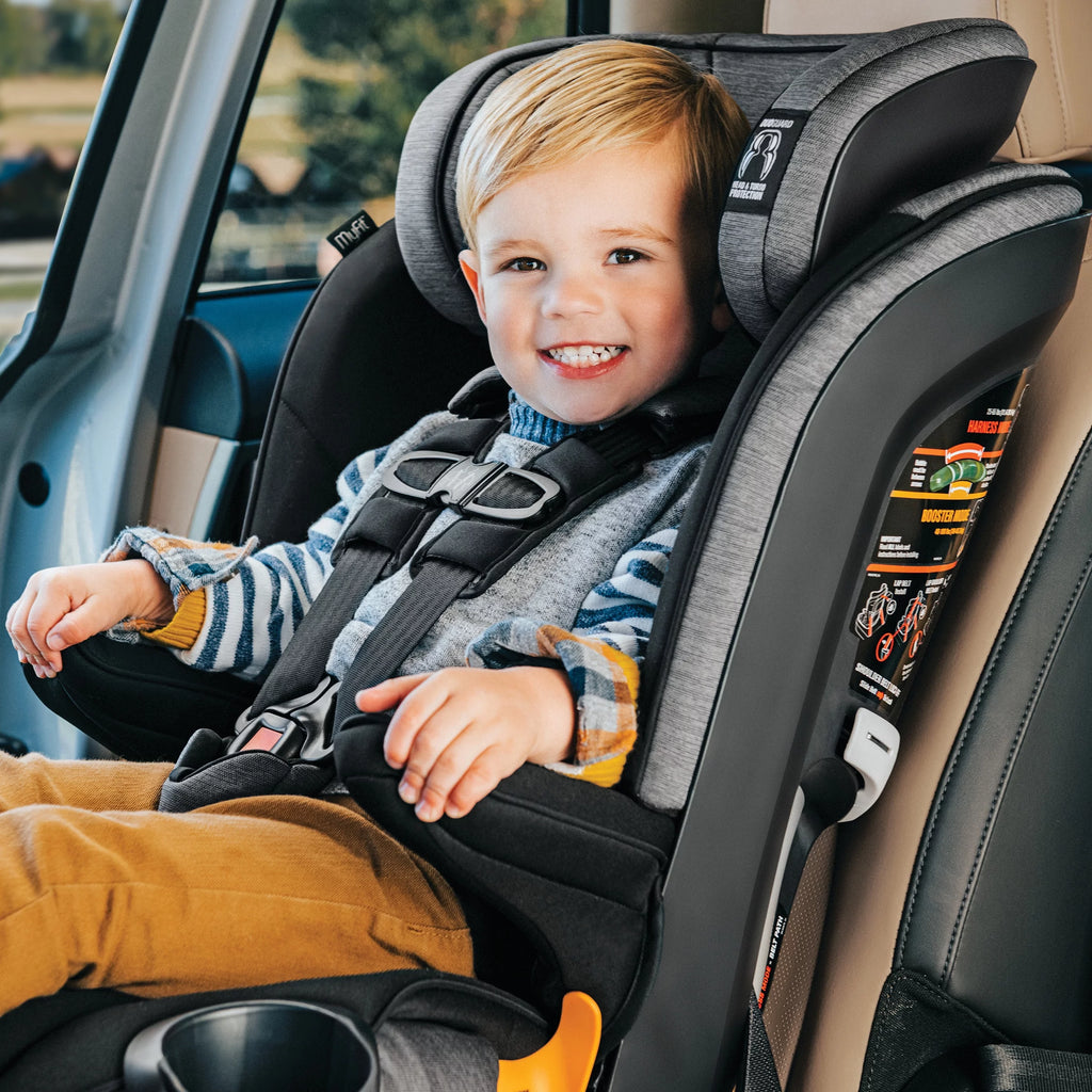Harness + Booster Car Seat - Shadow (Black) I930260