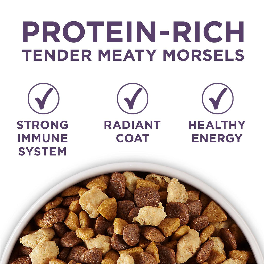 Adult Dry Dog Food for Senior Dogs O9422