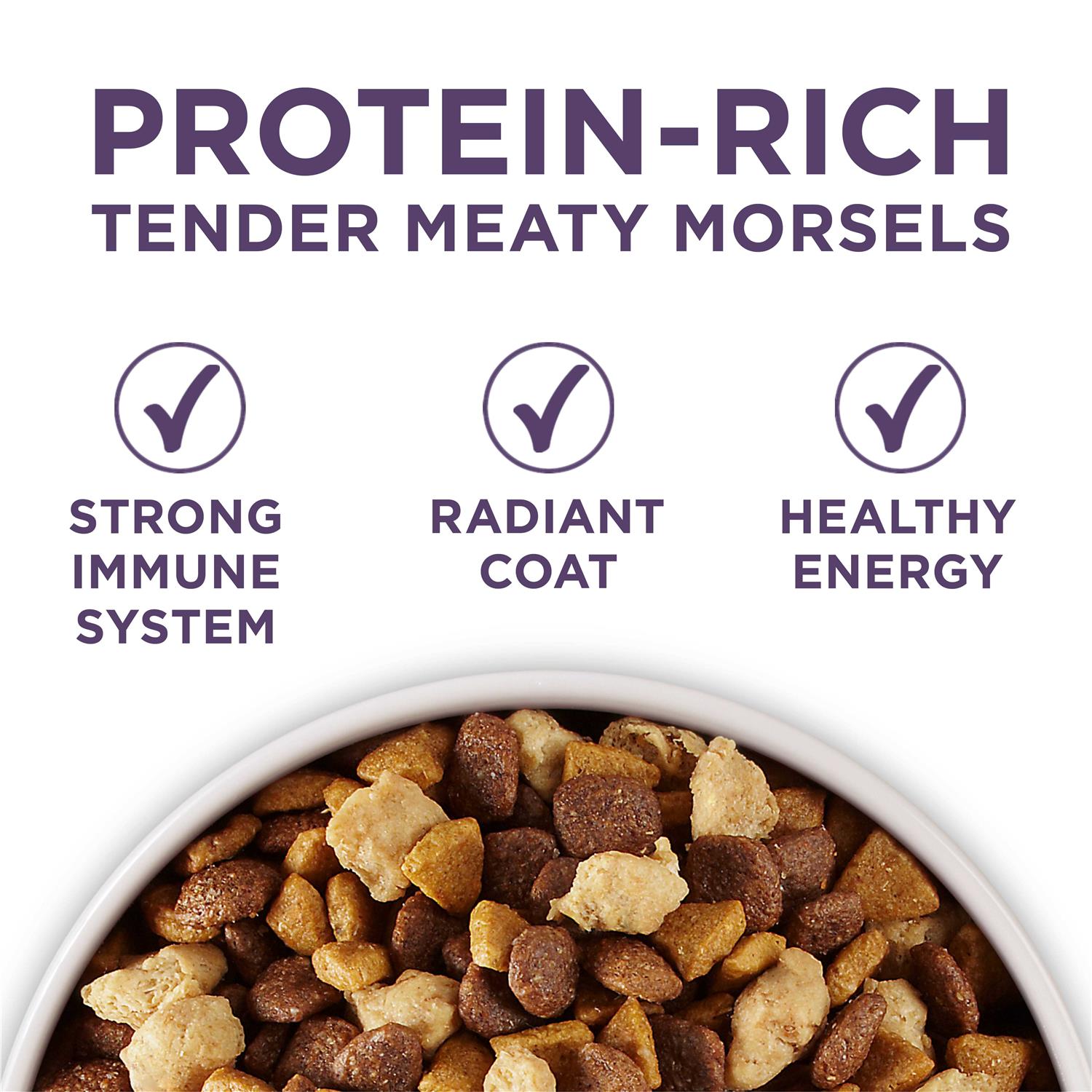 Adult Dry Dog Food for Senior Dogs O9422