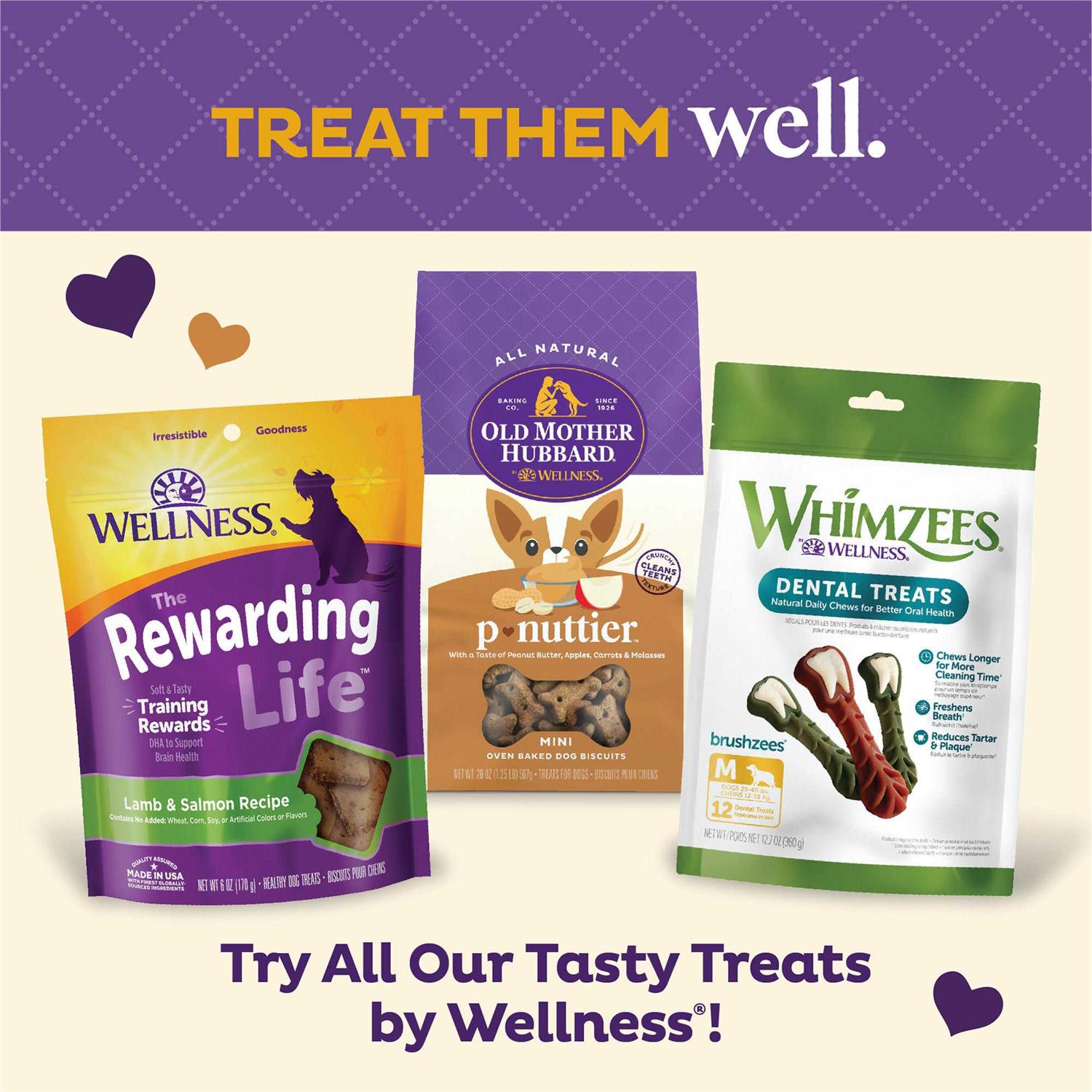 Natural Large Biscuits Dog Treats Value Box M697