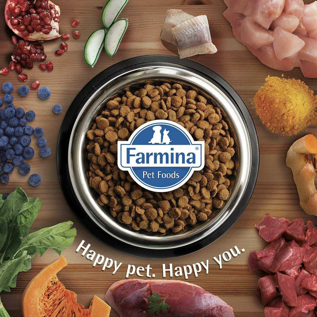 Chicken & Pomegranate Dry Dog Food for Medium & Large Breeds Q984345