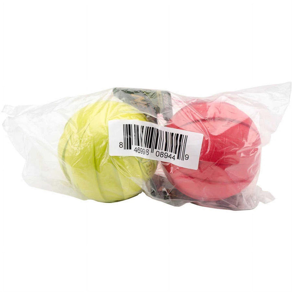 Dog Ball Toy X84513