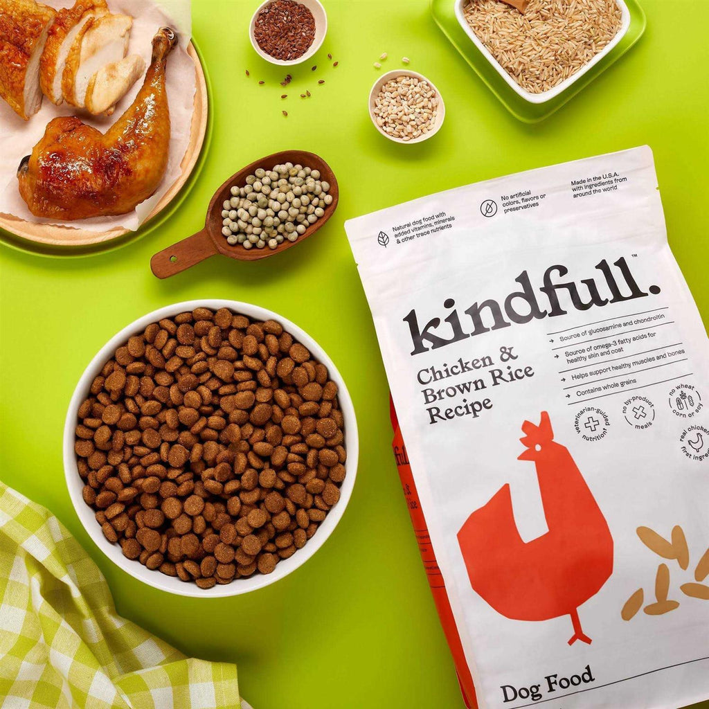 Chicken and Brown Rice Recipe Dry Dog Food I3925