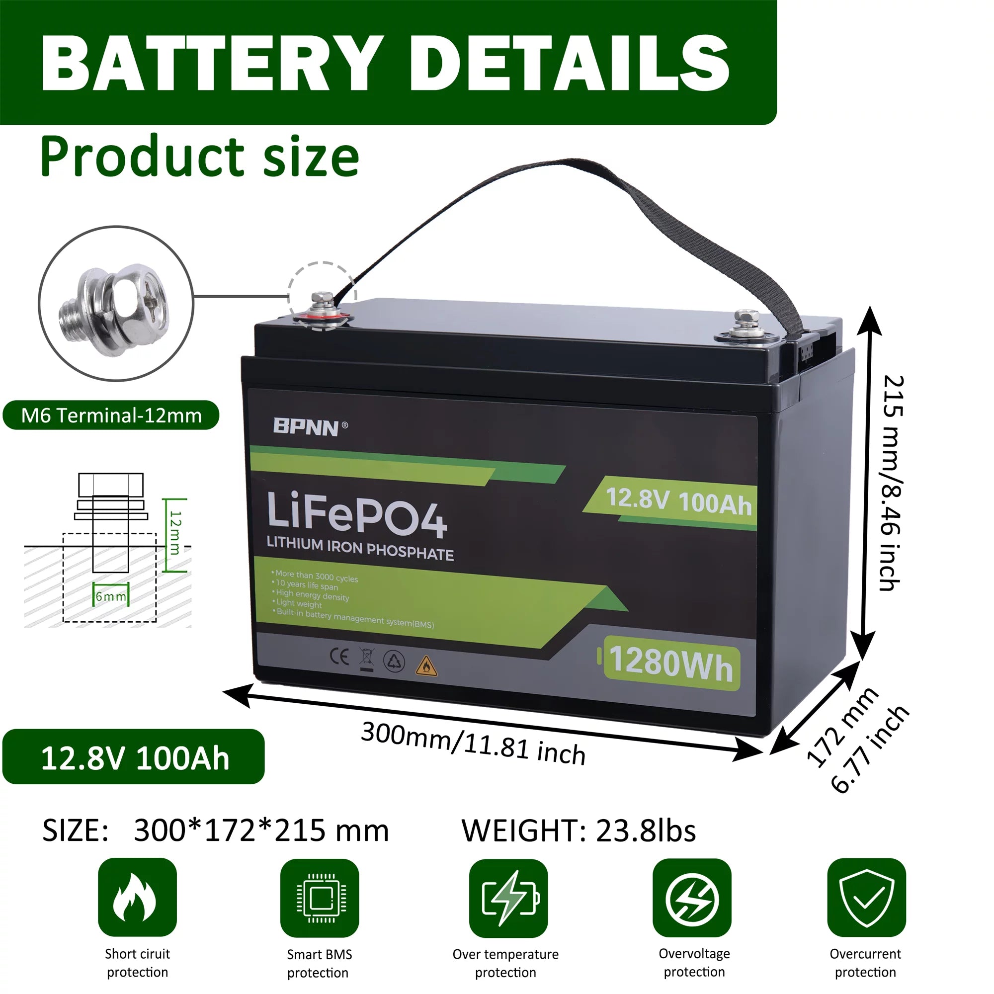 12V 100Ah LiFePO4 Battery for RV Solar Home Backup T738514