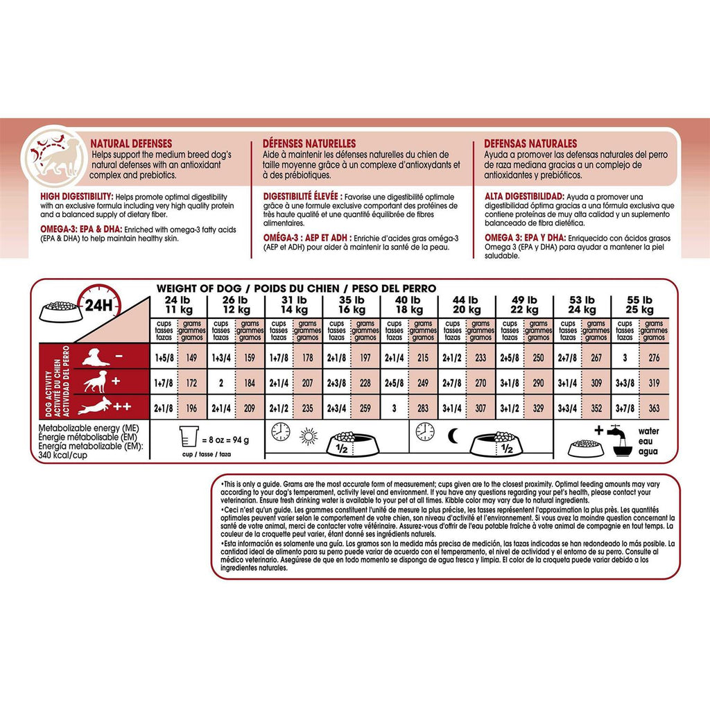 Medium Adult Dry Dog Food H33862