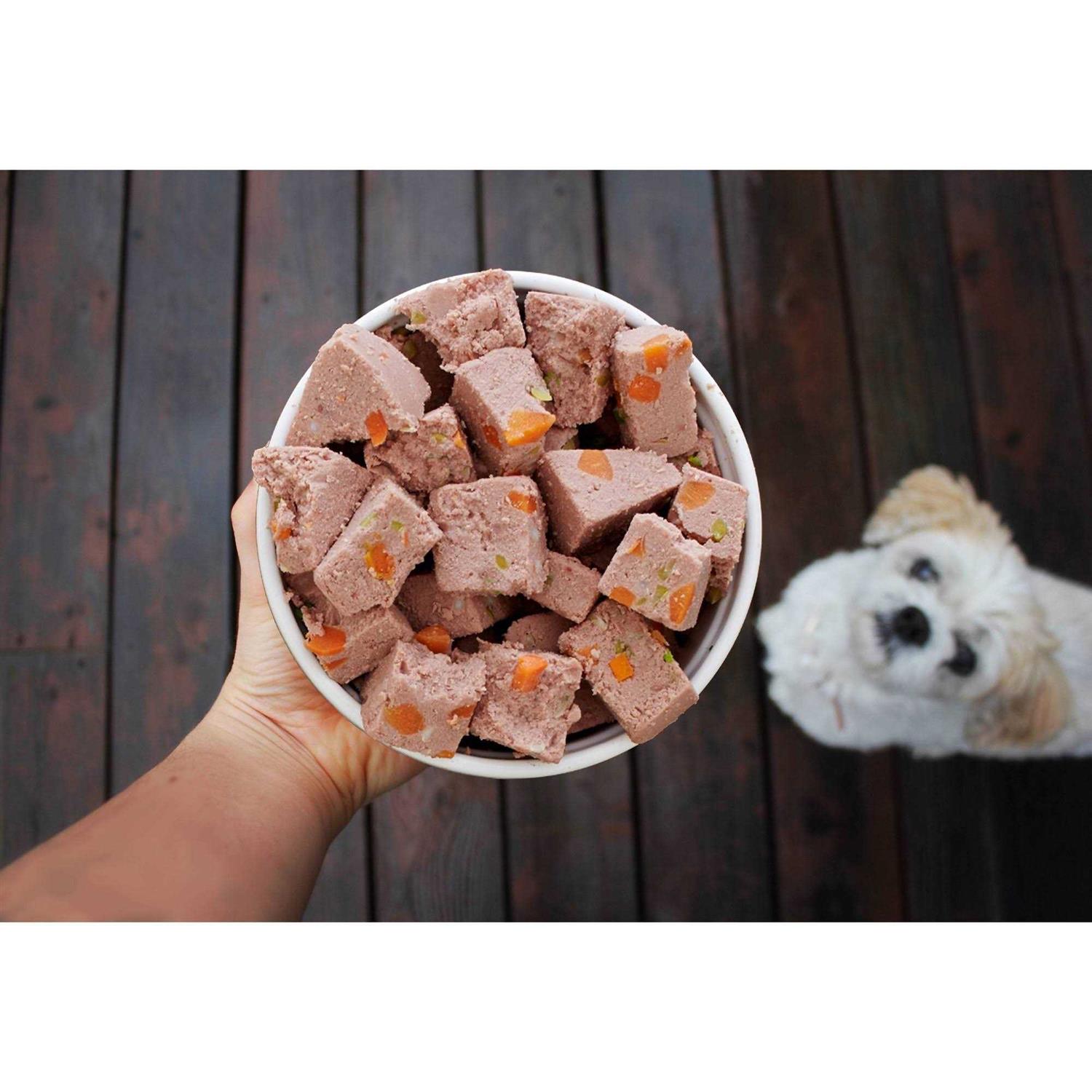 Grain Free Turkey Recipe Dog Food Y744