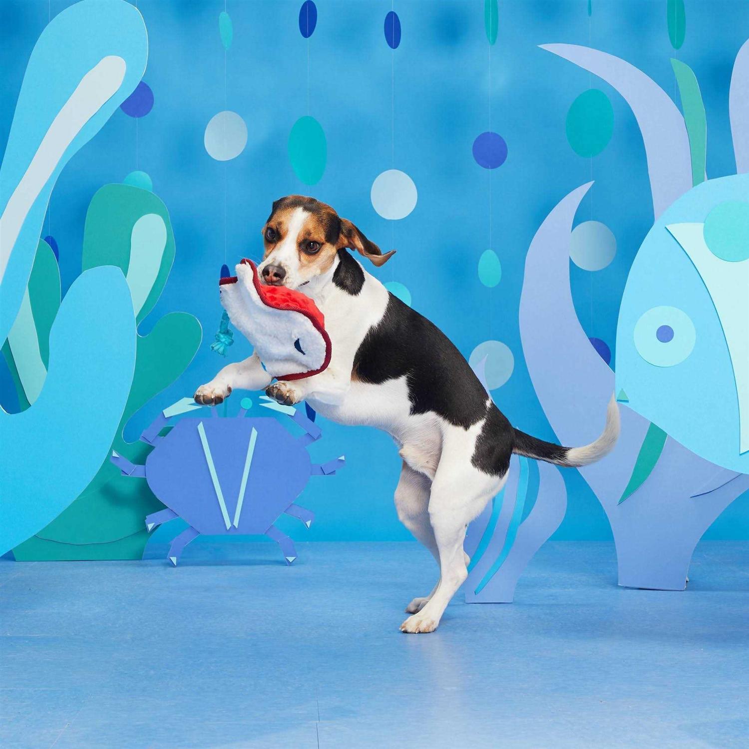 Sting Ray Dog Toy A1907