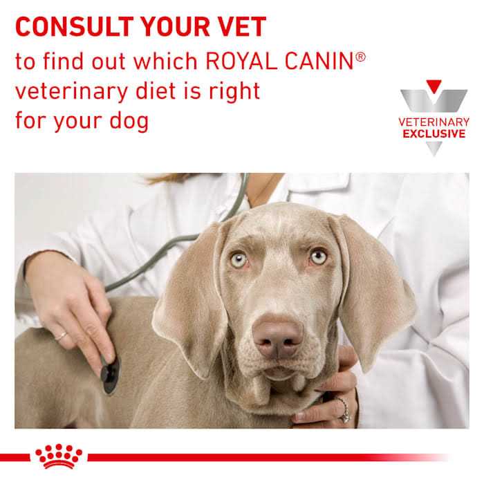 Renal Support T Wet Dog Food C701