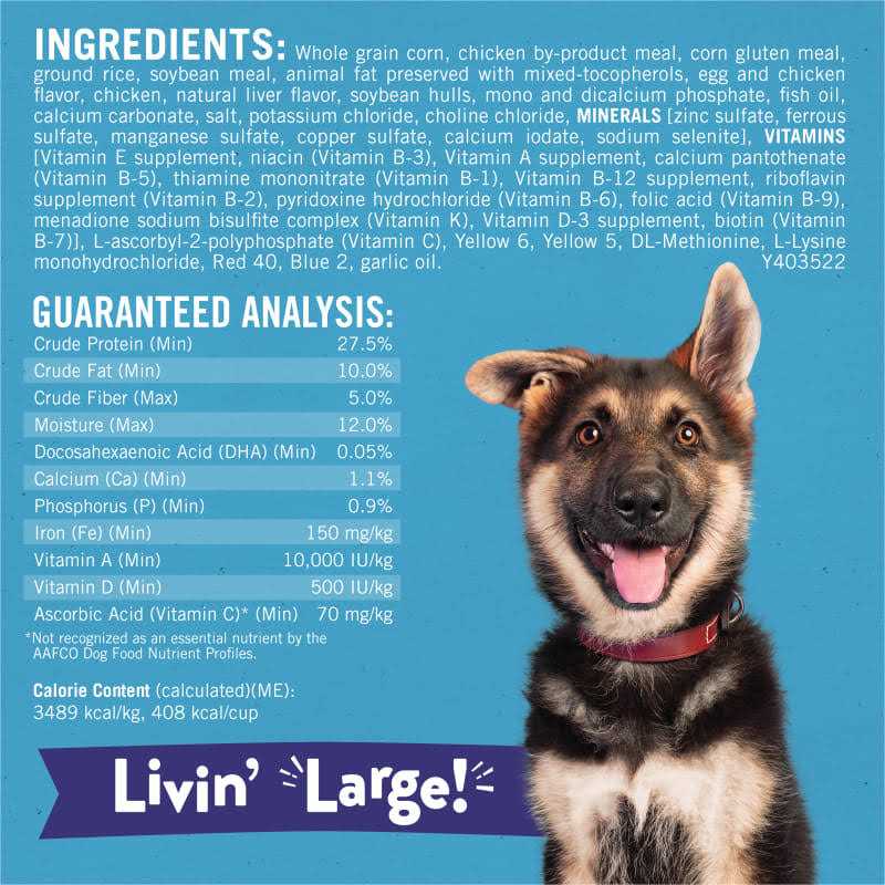 Large Breed Dry Puppy Food with Real Chicken D82399
