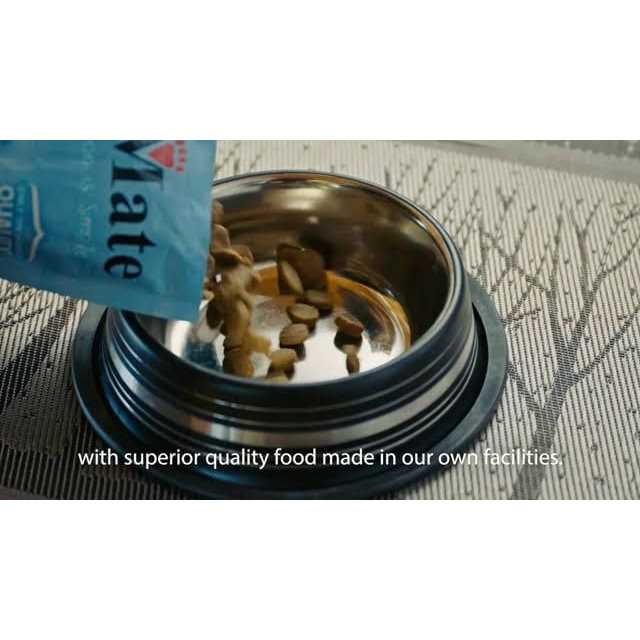 Large Breed Grain Friendly Dry Dog Food V799